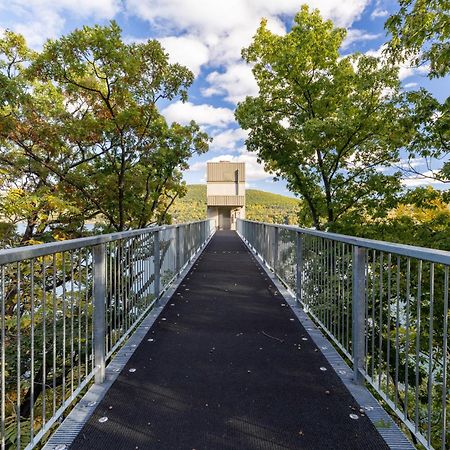 Canandaigua Lake Retreat With View And Private Beach Access, Foliage, Hike, And Ski Экстерьер фото
