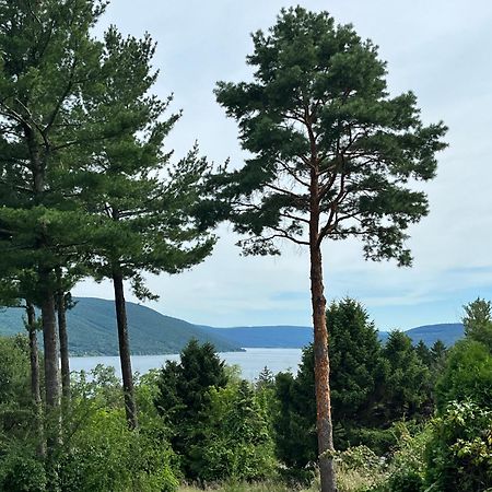 Canandaigua Lake Retreat With View And Private Beach Access, Foliage, Hike, And Ski Экстерьер фото