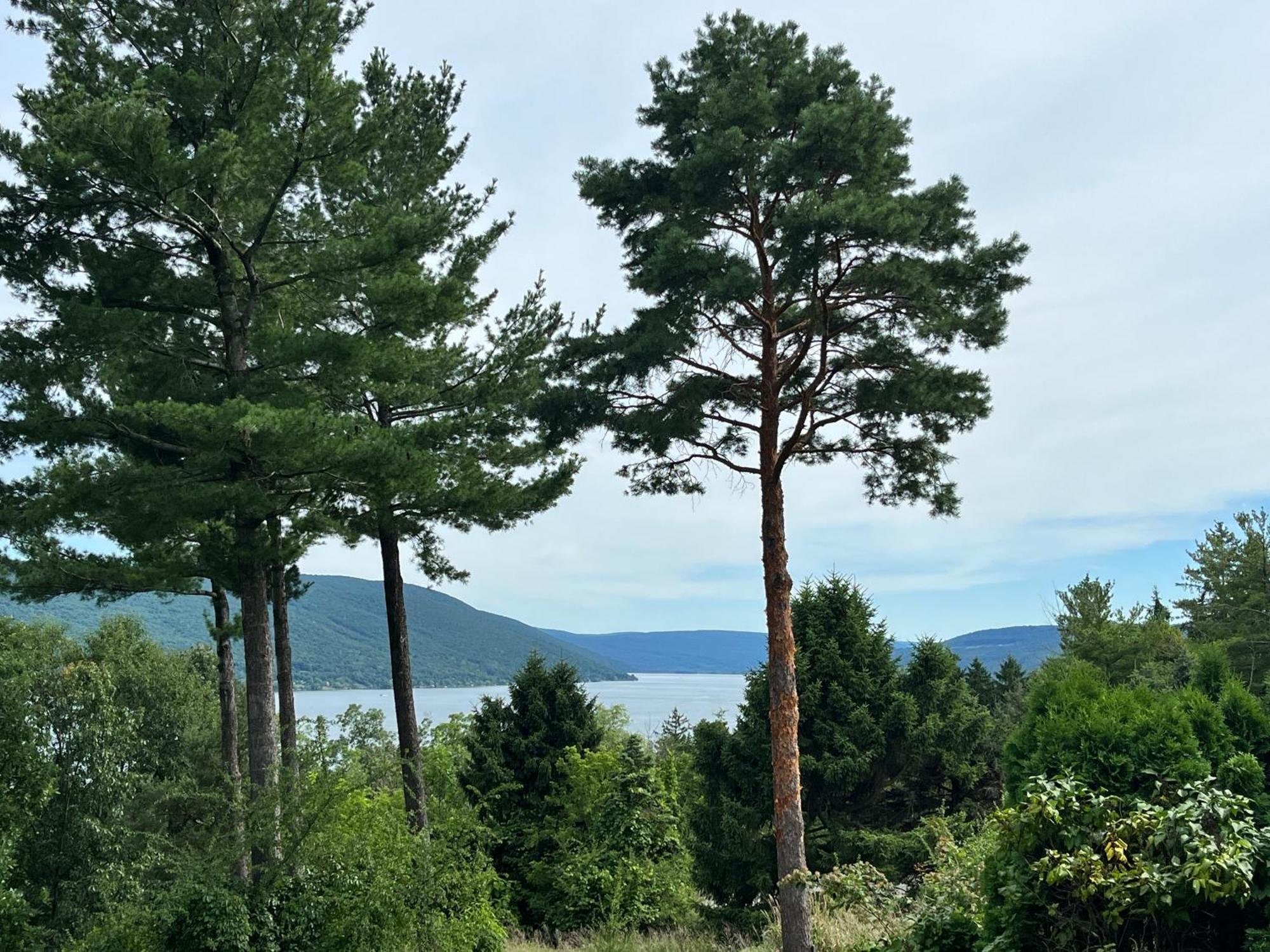 Canandaigua Lake Retreat With View And Private Beach Access, Foliage, Hike, And Ski Экстерьер фото
